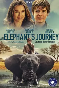 Проти природи: Велика подорож слонів