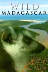 Дикий Мадагаскар